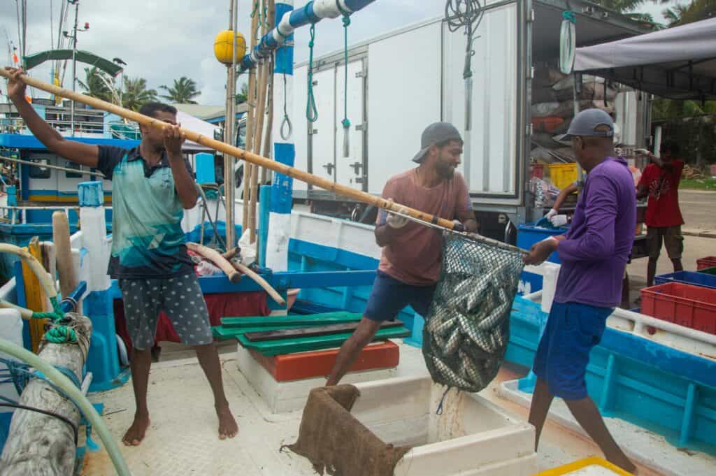 台灣外勞從事漁業捕撈作業，展現辛勤勞動與海洋資源利用。.