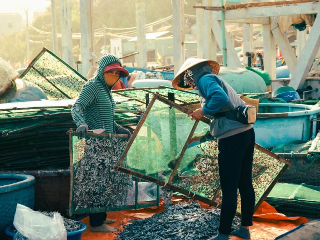 多國外勞在漁港工廠處理和整理海產品，展現多元化的國際勞動力合作場景。.